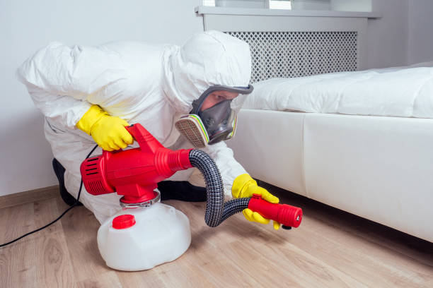 Best Best Pest Control Companies  in March Ar, CA