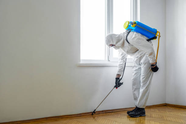 Best Local Pest Control Services  in March Ar, CA