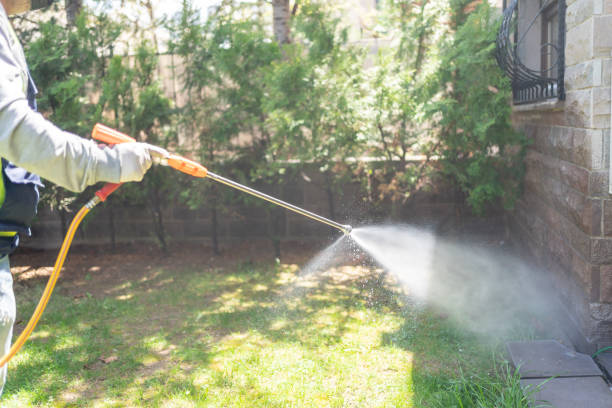 Best Cockroach Control Services  in March Ar, CA