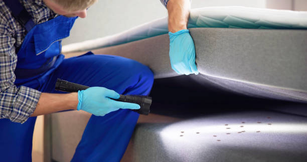 Best Wasp Removal Services  in March Ar, CA