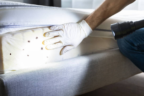 Best Pest Control for Homes  in March Ar, CA