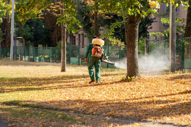 Best Pest Control Near Me  in March Ar, CA