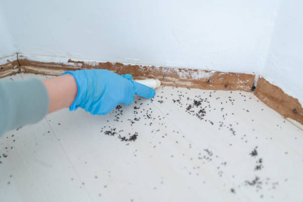 Best Best Pest Control Companies  in March Ar, CA