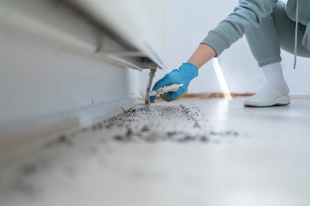 Trusted March Ar, CA Pest Control Experts