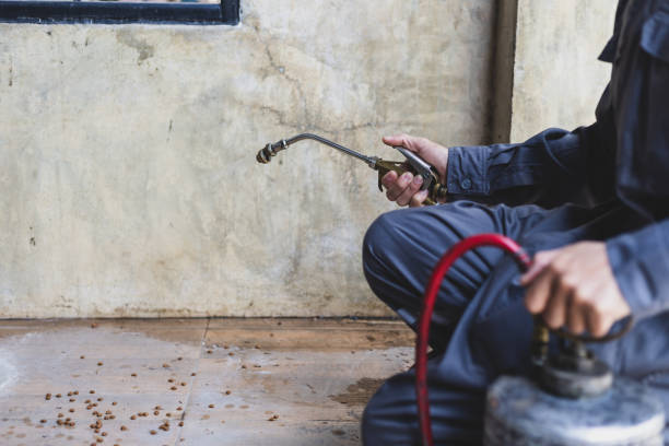 Best Pest Removal Services  in March Ar, CA